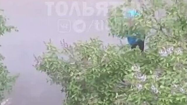 Video by события тольятти