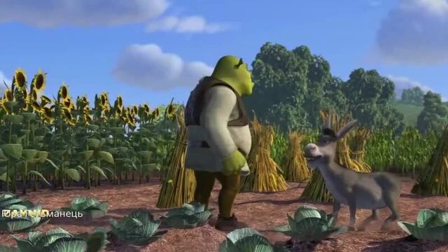 Юра гетьманець ожп это мужики с маленьким членом ( юрский перевод )