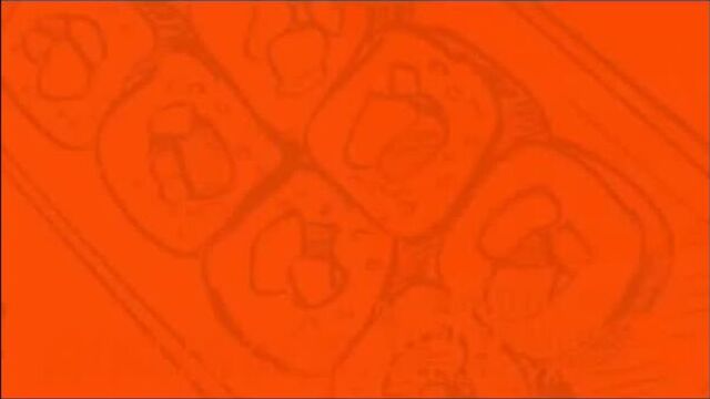 Фудзияма суши, роллы, шаурма. ул. ленина, 94 тц"гермес"