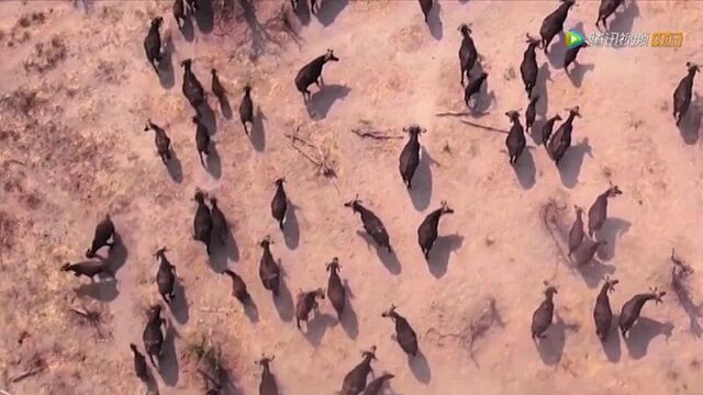 [за кадром] дорама "боевой континент" | 16.02.21