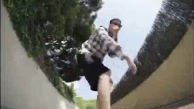 Вабанк белый пау пау белый)