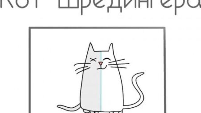 Кот шрёдингера: мысленный эксперимент квантовой механики [ted-ed]