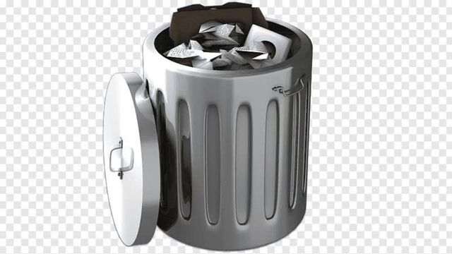 Sabrina salerno_boys