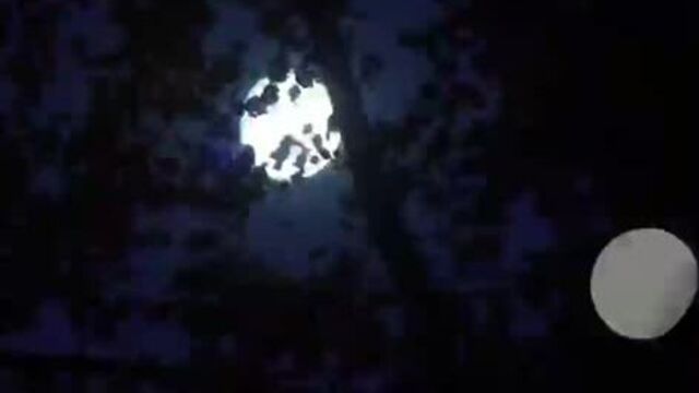 Пацанки сезон 4 , дикое племя. 1 cерия (720p)(0).mp4