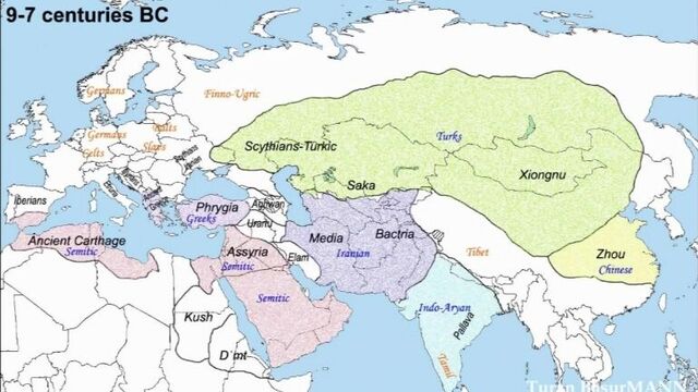 Samaya_krasivaya_mysylmanka_sportsmenka_-_sabina_altinbekova