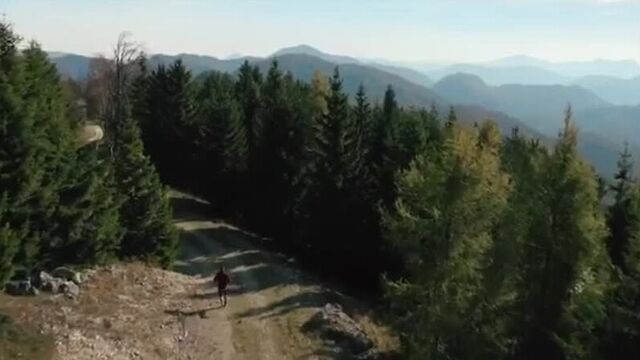 Александр ракич!