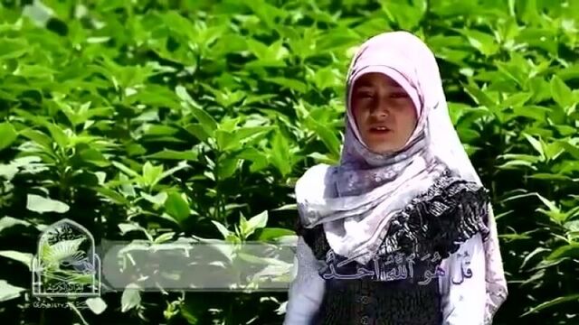 Фатиха суреси