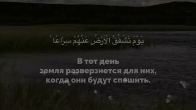 Omar hisham сура "каф"