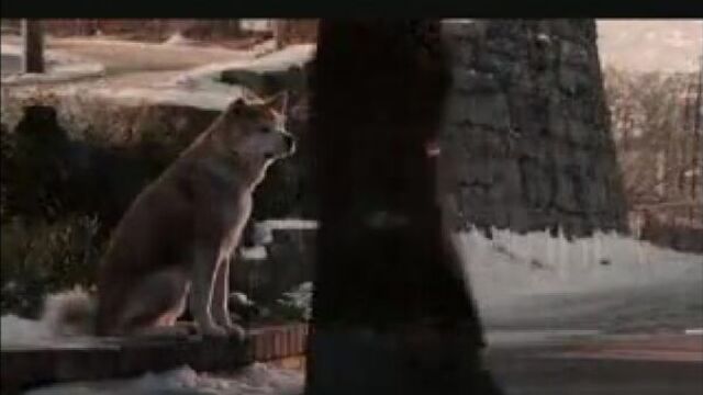 Hatiko самый верный друг