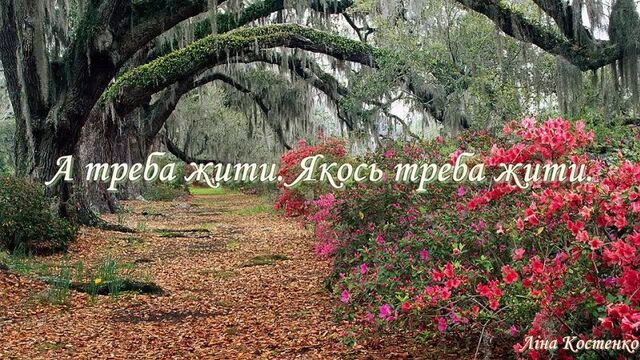 Ліна костенко-"'і все на світі треба пережити"
