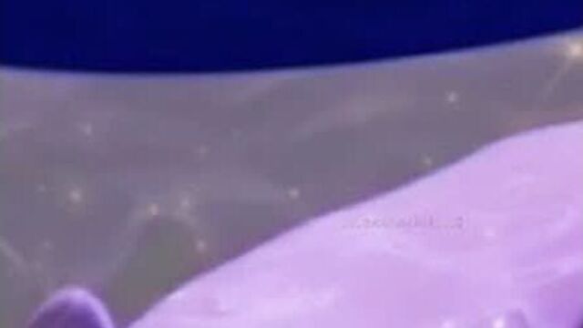 Мышка сосиска