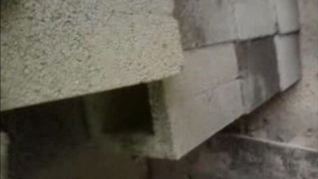 Мс петя будова і мотивація .