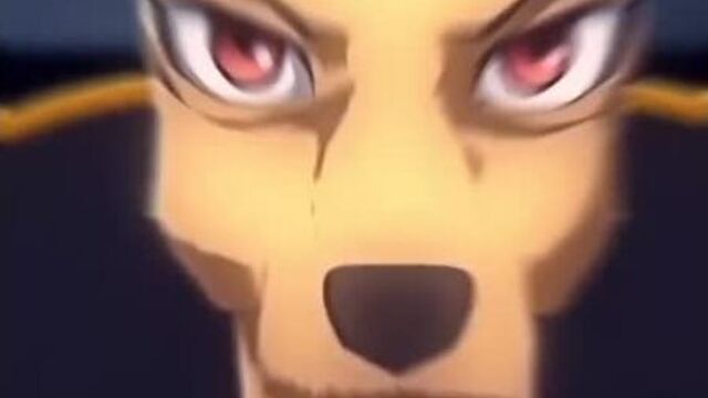 Beastars | anime vine