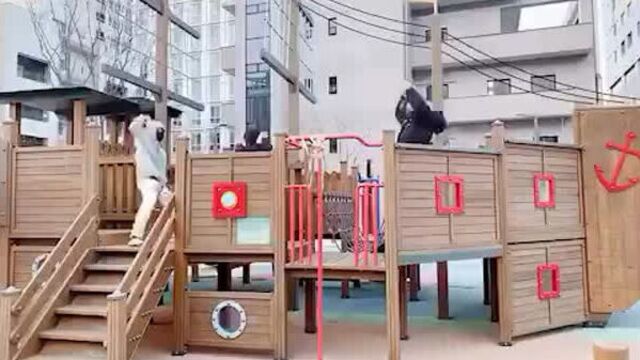 Потому что это лучшие мальчики как их не стэнить