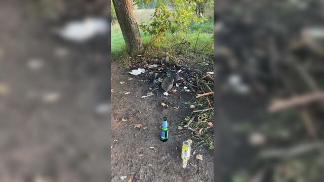 Video by подслушано дубна