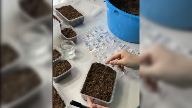 Video by домик окнами в сад