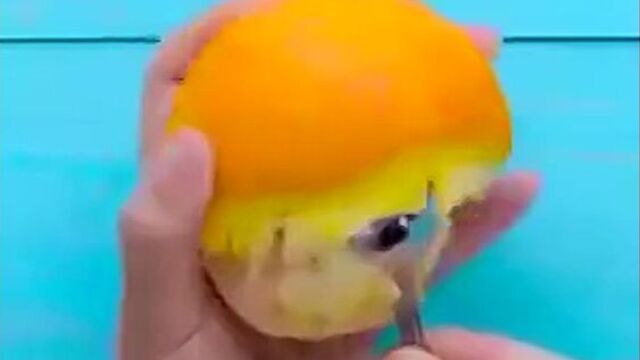 Подслушано ростов великий - бери и делай