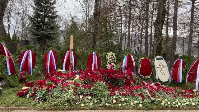 Могила жириновского на новодевичьем кладбище