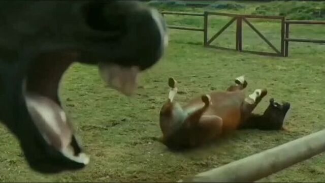 Реакция на ислама.mp4