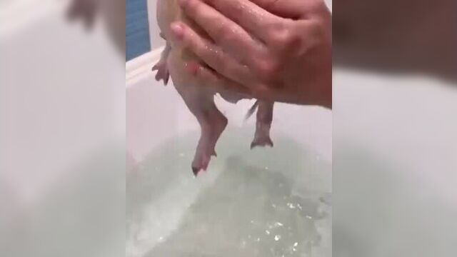 Попу мыть нужно каждый день