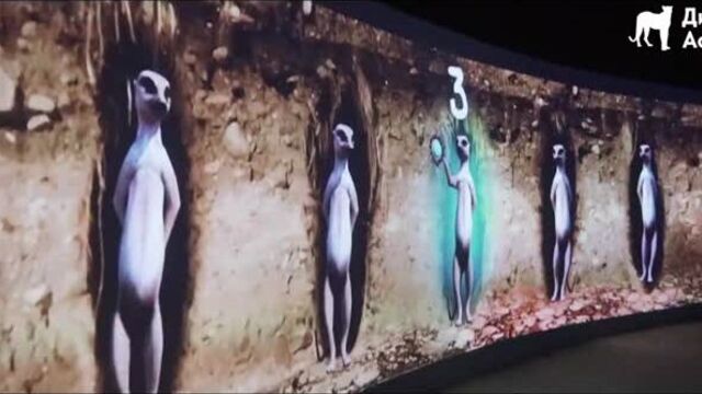 Дикая-африка