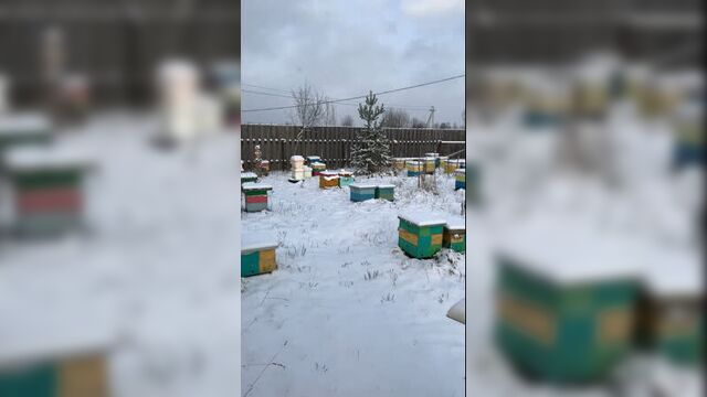 Доброе, ноябрьское утро!