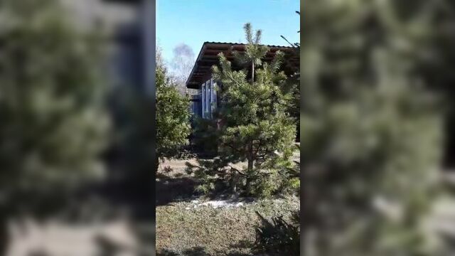 Весеннее утро в конном дворике "солнечный"