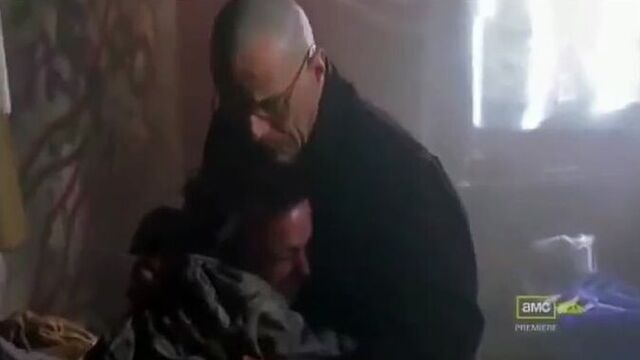 Ван де бек и тен хаг