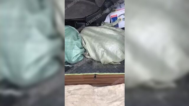 Video by гороро | новый уренгой