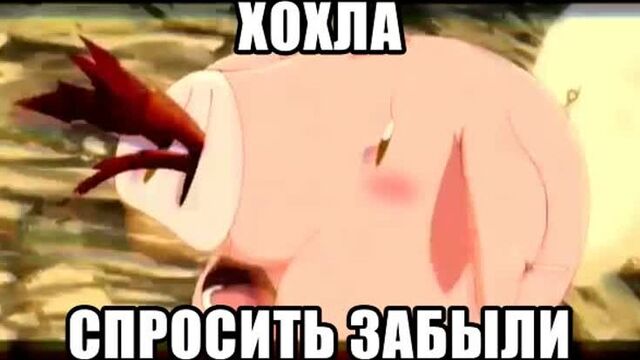 Хохла спросить забыли аниме