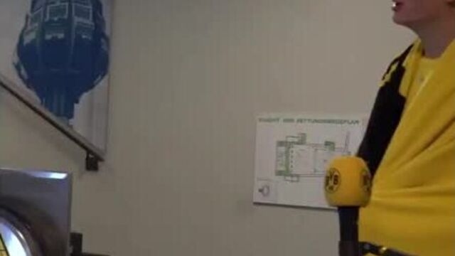 Die borussen / эрлинг холанд и люсьен фавр