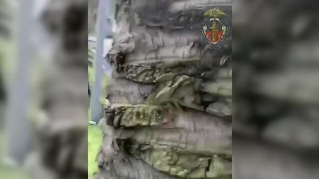 Деревня дураков