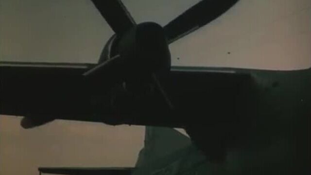 Черный тюльпан - афганский излом