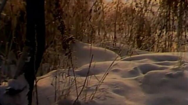 ★ галина ненашева - вьюга