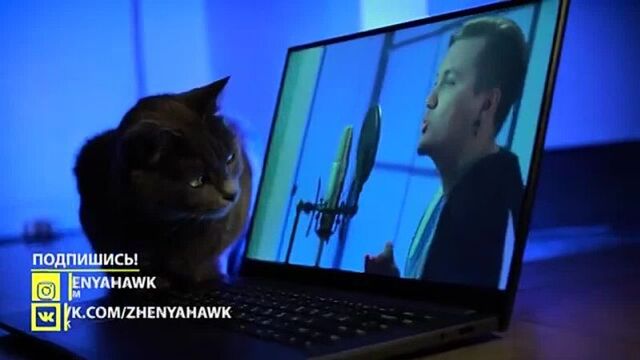 [женя hawk] 6ix9ine - zaza | слив кавера | кавер на русском | перевод текаши six nine | сикснайн - заза