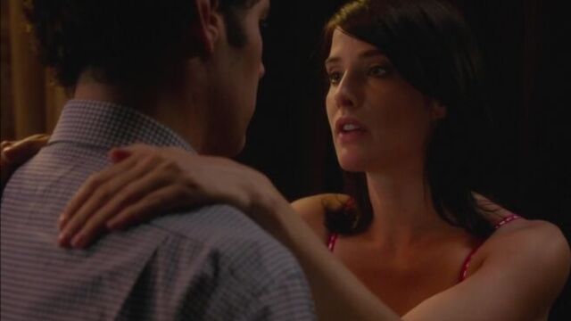 Коби смолдерс - они пришли вместе / cobie smulders - they came together ( 2014 )