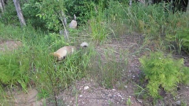 Сама поймала!