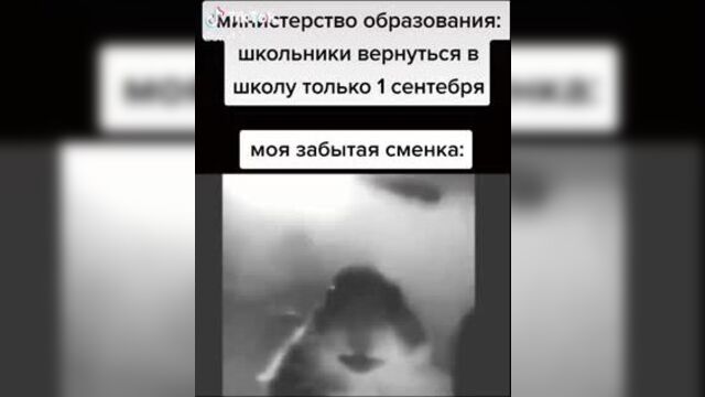 Мем из тик-ток. карантин. для вп. на случай важных переговоров. хомяк. когда забыл сменку в школе