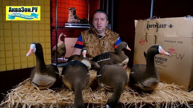 Чучела гусей белолобые softplast 2021 живое перо bs 3d uv. аквазон ру