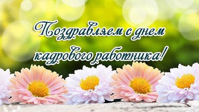 24 мая - день кадрового работника! день кадровика! с днем кадровика! поздравляем кадровиков с праздником