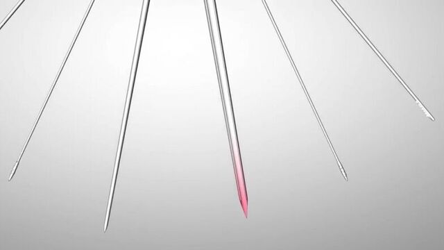 Комары пьют кровь под микроскопом + 9 фактов о комарах.