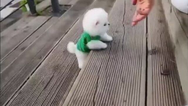 Video by ялуторовск заводоуковск типичный