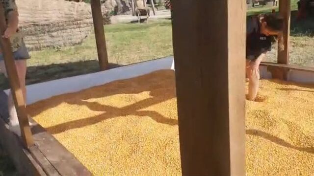 Video by бахча пономаревых