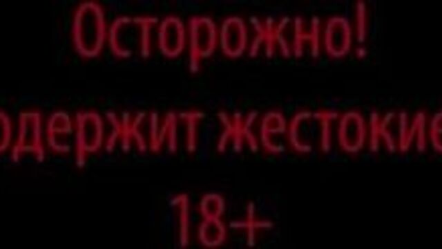 Кровавая бойня в мурино