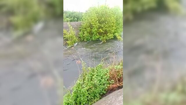 Украинские военные взорвали шлюз в мироновском водохранилище на подконтрольных киеву территориях лнр