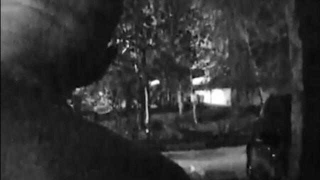 В саратове парень нашел открытую чужую машину и устроил там чилаут