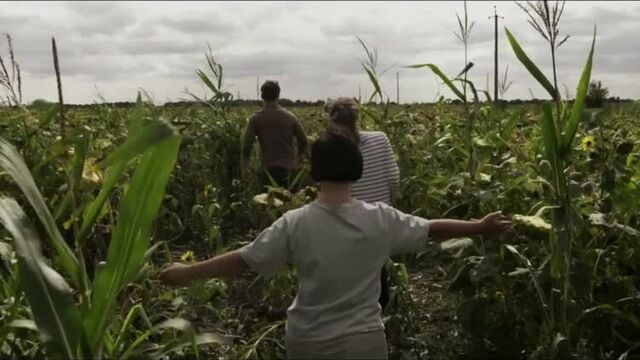 История лизы