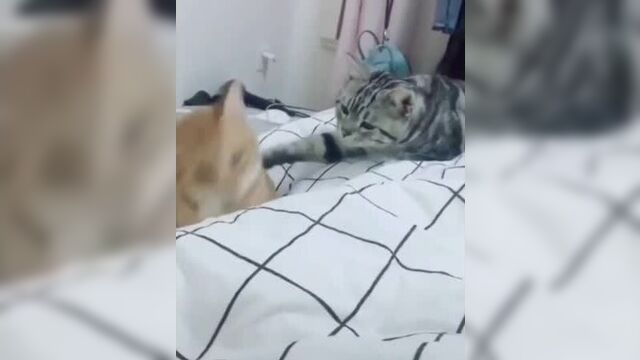 Ладно. прощаю