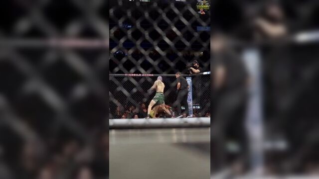 Ufc269 шон о’мэлли vs раулиан пэйва