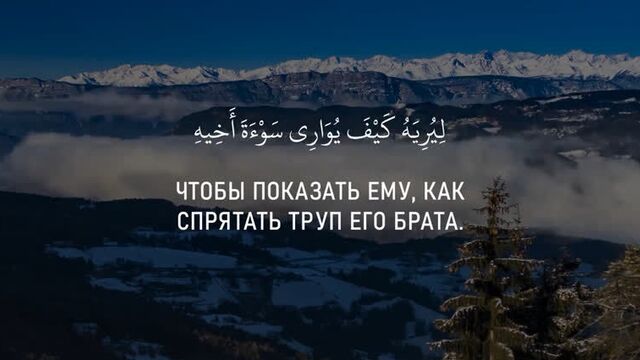 Сура 5 (трапеза), аяты 27-32